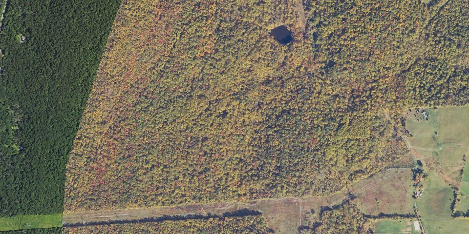 Real aerial photograph at Sweet Run State Park