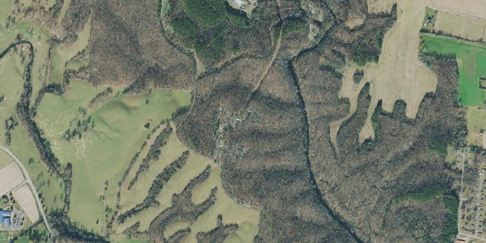Real aerial photograph at David Crockett State Park