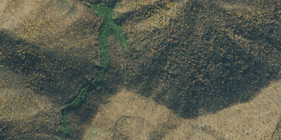 Real aerial photograph at Frozen Head State Park