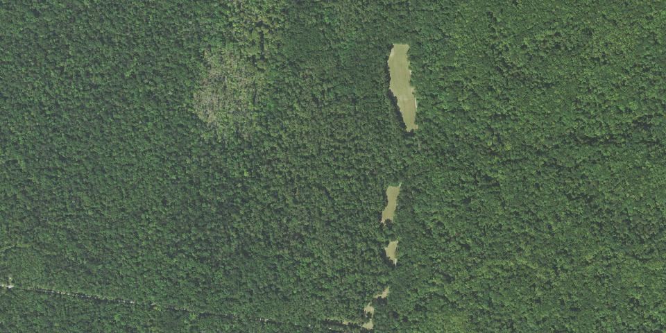 Real aerial photograph at Meeman-Shelby Forest State Park