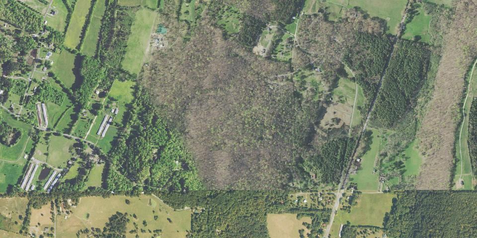Real aerial photograph at Red Clay State Park