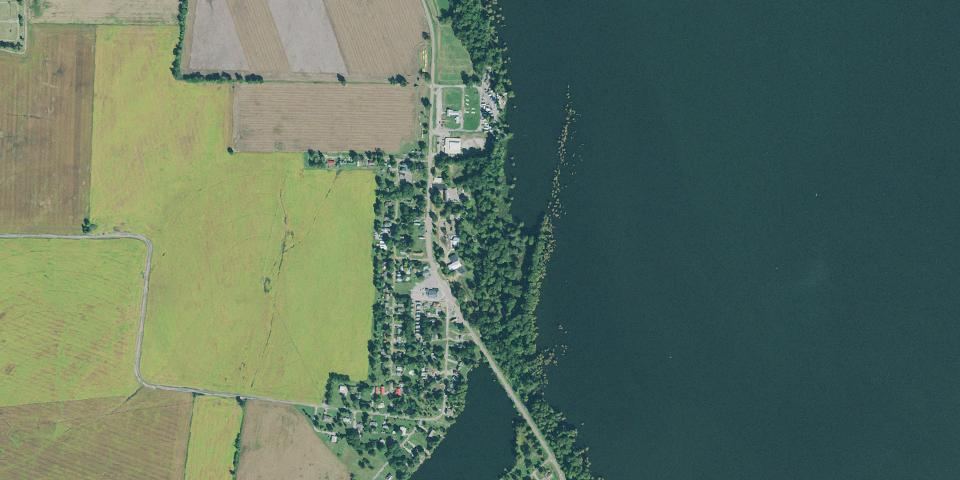 Real aerial photograph at Reelfoot Lake State Park