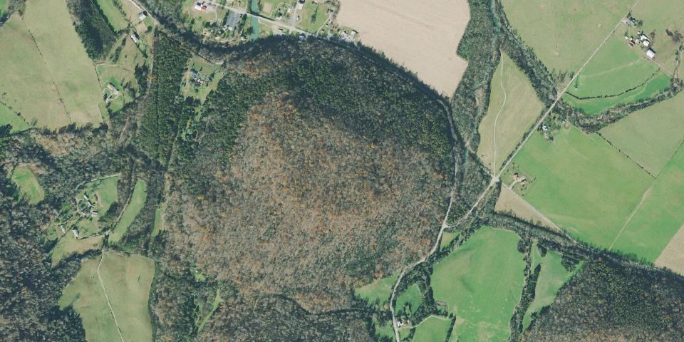 Real aerial photograph at Sgt. Alvin C. York State Historic Park