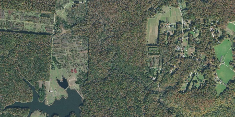 Real aerial photograph at Savage Gulf State Park