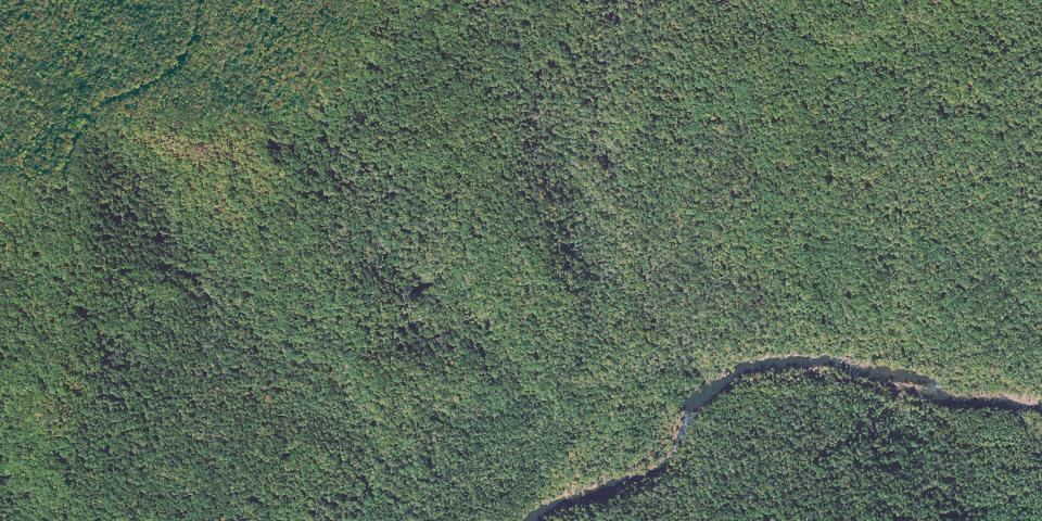 Real aerial photograph at Scott's Gulf Wilderness State Park