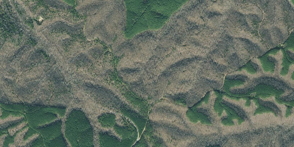 Real aerial photograph at Dry Branch State Park and Natural Area