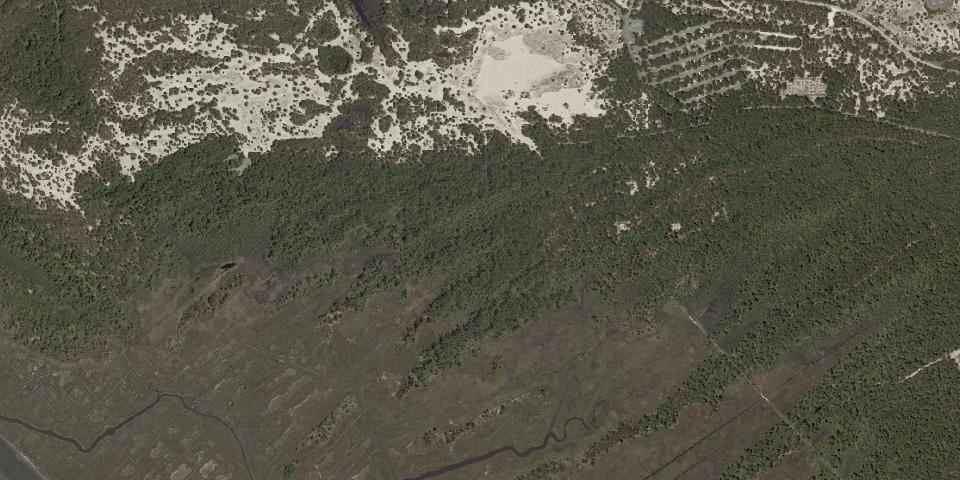Real aerial photograph at Cape Henlopen State Park