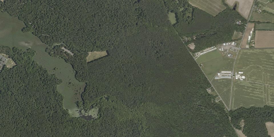 Real aerial photograph at Trap Pond State Park