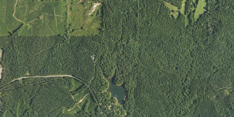 Real aerial photograph at Golden Memorial State Park