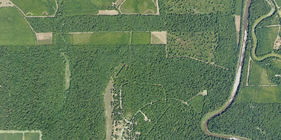 Real aerial photograph at Leroy Percy State Park