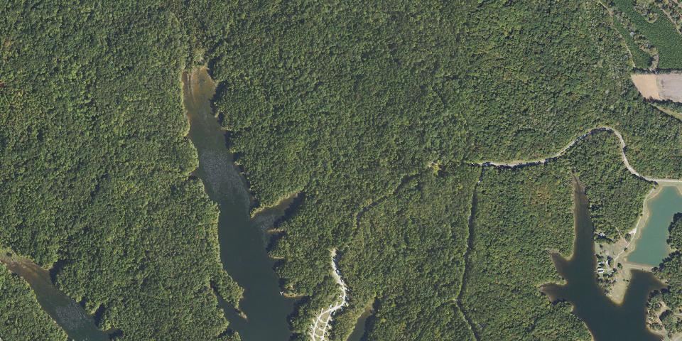 Real aerial photograph at Trace State Park